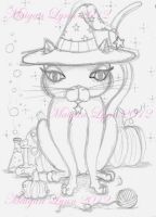 ACEO Black Cat